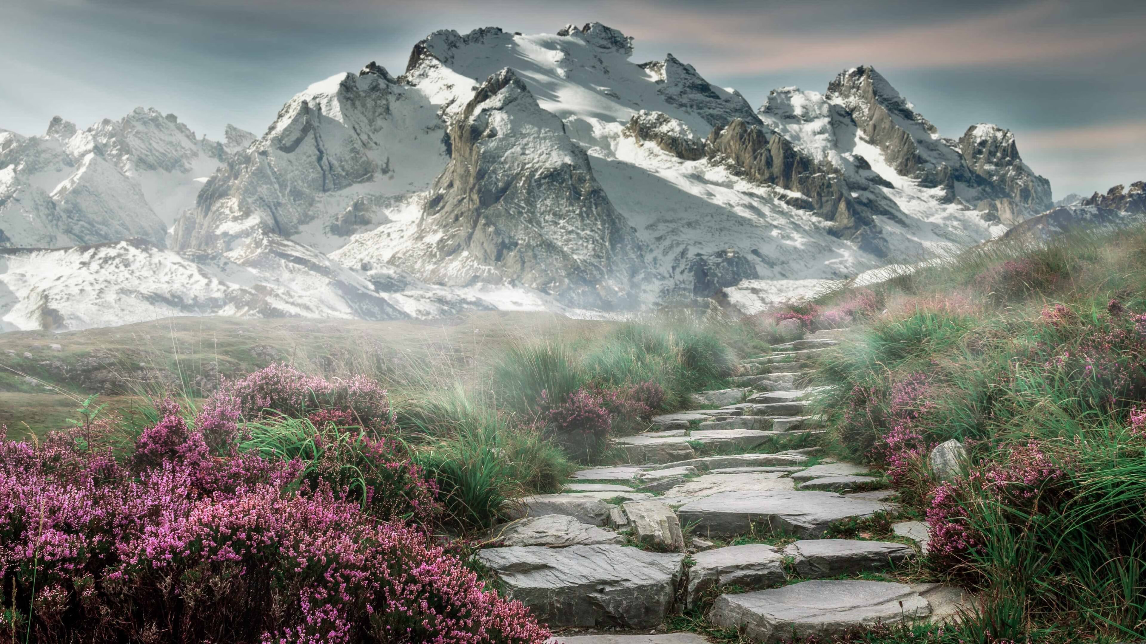 v7.2.5 版本详情,2026年2月14日,一次关于效率与安全的深度革新